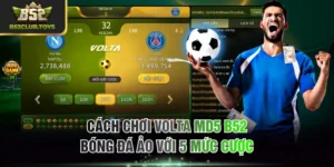Volta MD5
