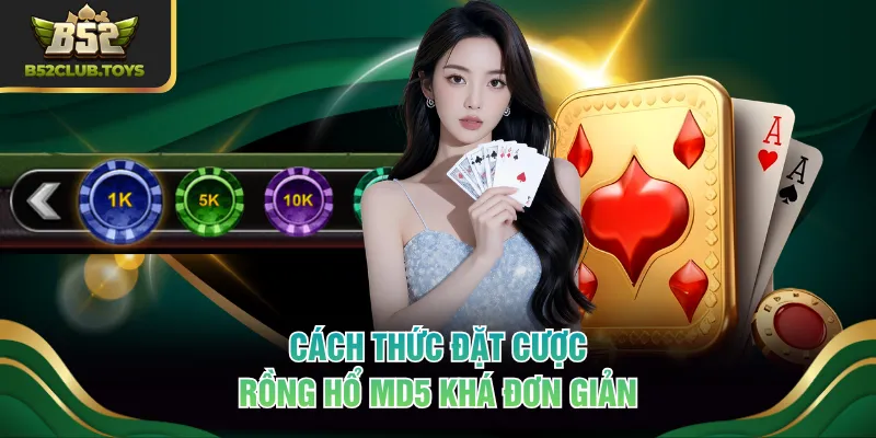 Cách thức đặt cược Rồng Hổ MD5 khá đơn giản